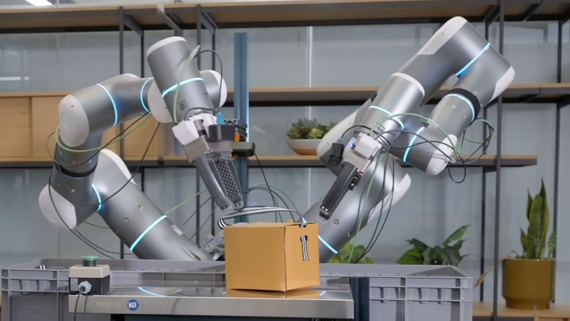 Direct Video-Action uses visual predictions to guide robotic movements.